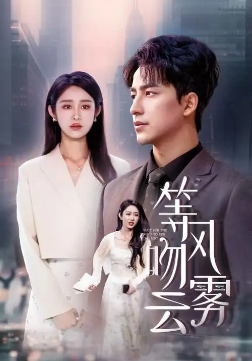 南风知我意 都市爱情剧海报
