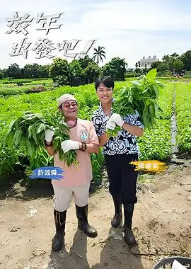 玫瑰故事 都市爱情剧海报